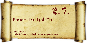 Mauer Tulipán névjegykártya